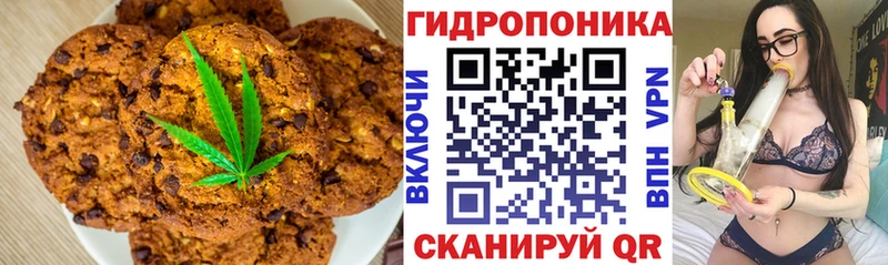 наркота  Красный Кут  Canna-Cookies конопля 