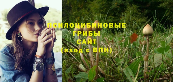 индика Богданович