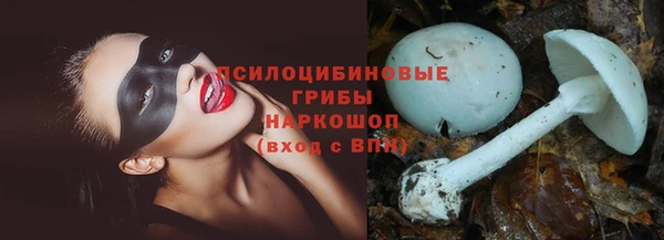индика Богданович