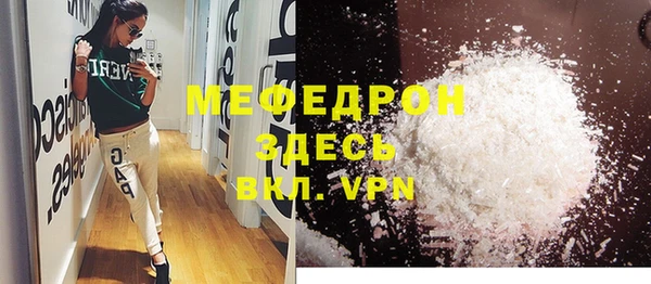 индика Богданович