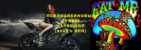 индика Богданович