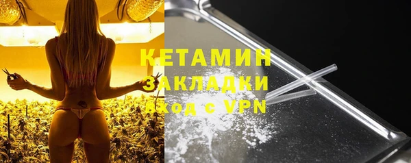 индика Богданович