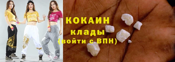 индика Богданович