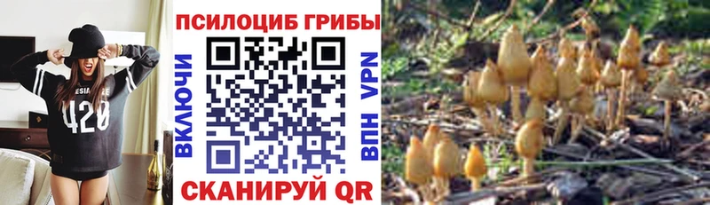 кракен зеркало Красный Кут Псилоцибиновые грибы ЛСД